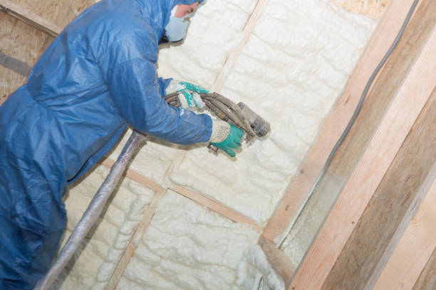 Types of Insulation We Offer in Selma, CA